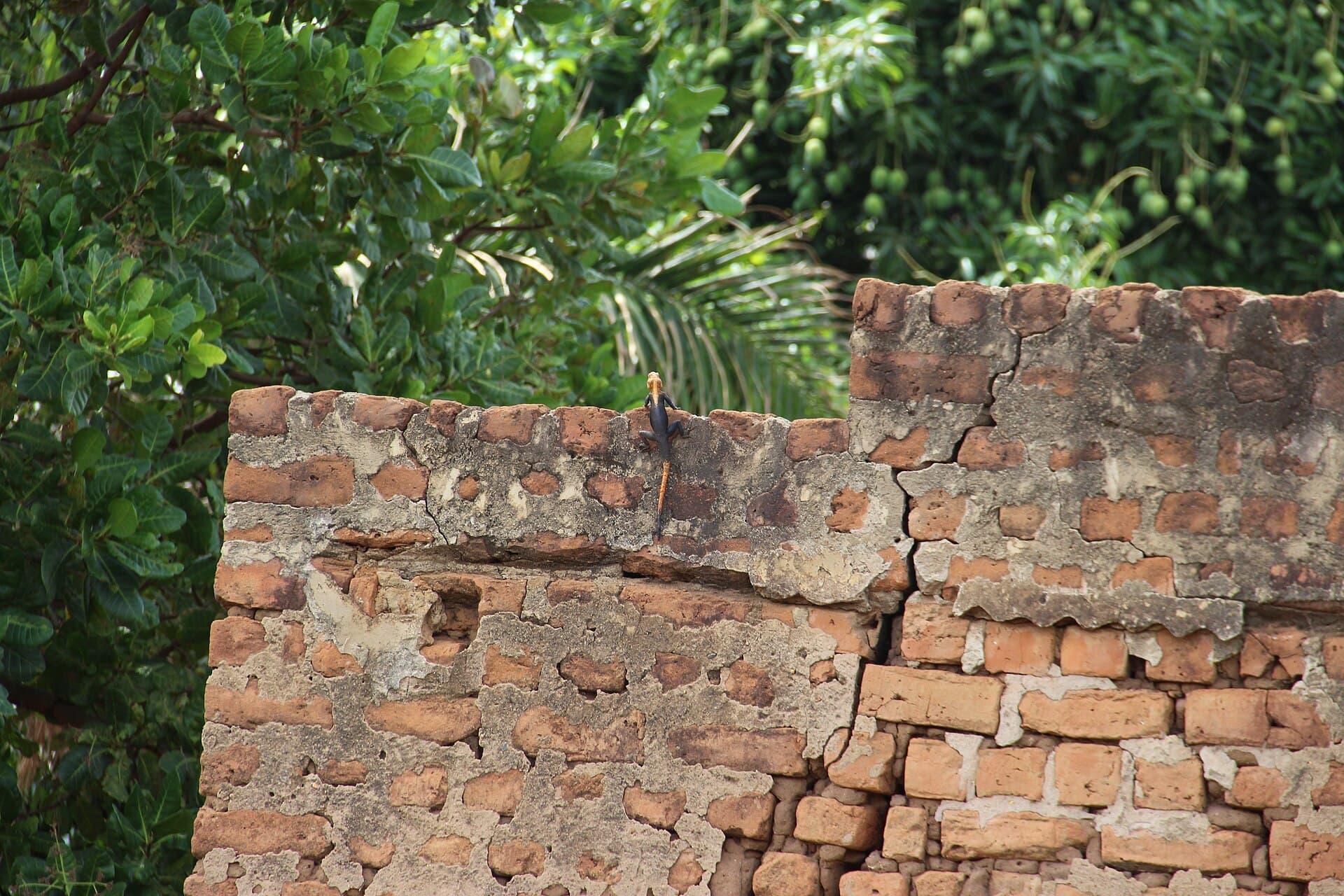 A settlement crack running through a masonry wall
